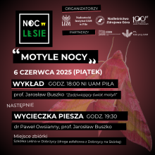 Zaproszenie na NOC W LESIE